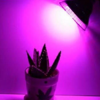 24W LED Grow SMD Pflanzenlicht